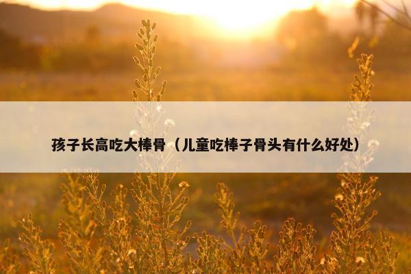 孩子长高吃大棒骨（儿童吃棒子骨头有什么好处）