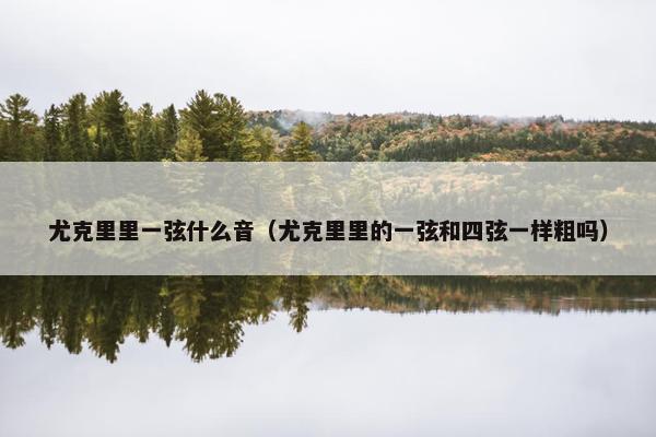 尤克里里一弦什么音（尤克里里的一弦和四弦一样粗吗）