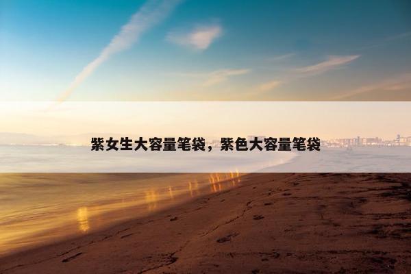 紫女生大容量笔袋，紫色大容量笔袋