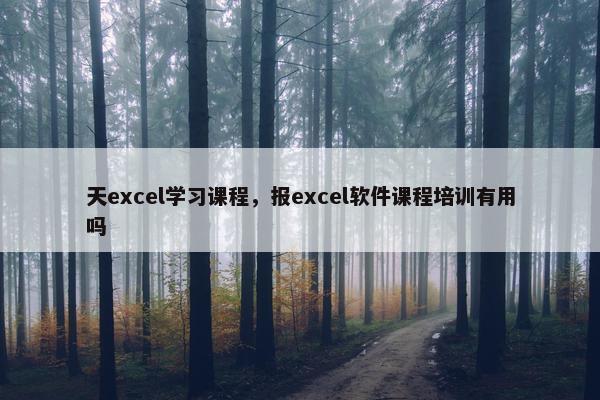 天excel学习课程，报excel软件课程培训有用吗
