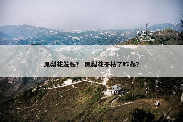 凤梨花发黏？ 凤梨花干枯了咋办？