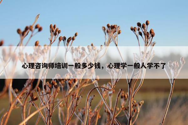 心理咨询师培训一般多少钱，心理学一般人学不了