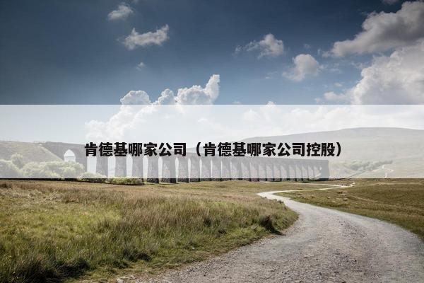 肯德基哪家公司（肯德基哪家公司控股）