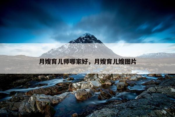 月嫂育儿师哪家好，月嫂育儿嫂图片