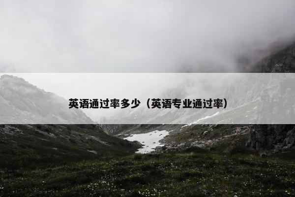 英语通过率多少（英语专业通过率）