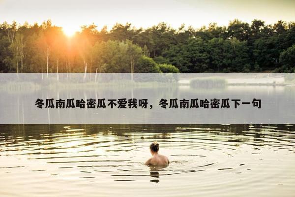 冬瓜南瓜哈密瓜不爱我呀，冬瓜南瓜哈密瓜下一句