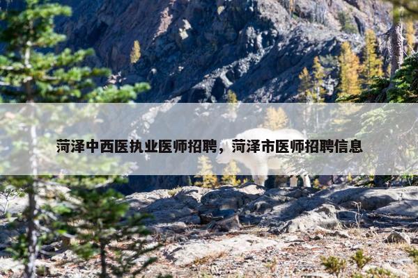 菏泽中西医执业医师招聘，菏泽市医师招聘信息