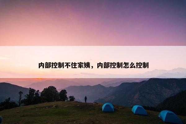 内部控制不住家姨，内部控制怎么控制