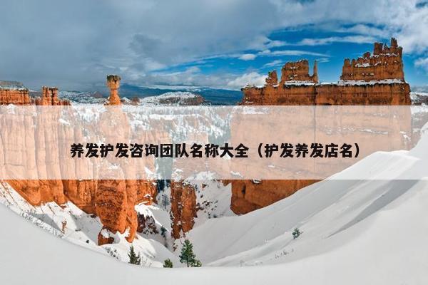 养发护发咨询团队名称大全（护发养发店名）