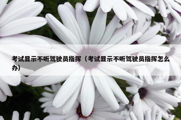 考试显示不听驾驶员指挥（考试显示不听驾驶员指挥怎么办）