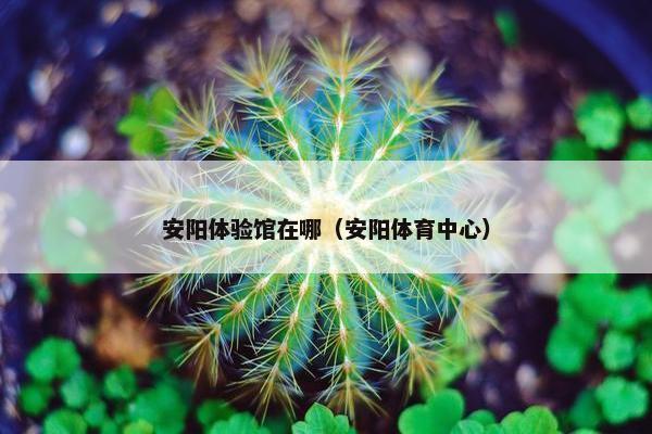 安阳体验馆在哪（安阳体育中心）