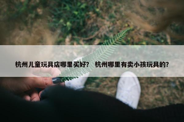 杭州儿童玩具店哪里买好？ 杭州哪里有卖小孩玩具的？