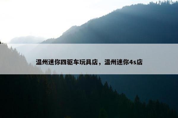 温州迷你四驱车玩具店，温州迷你4s店
