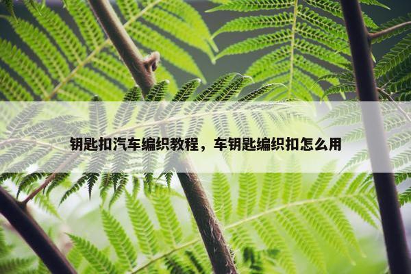 钥匙扣汽车编织教程，车钥匙编织扣怎么用