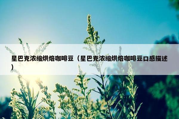 星巴克浓缩烘焙咖啡豆（星巴克浓缩烘焙咖啡豆口感描述）
