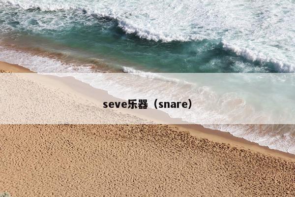 seve乐器（snare）