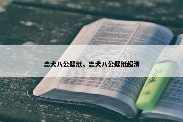 忠犬八公壁纸，忠犬八公壁纸超清