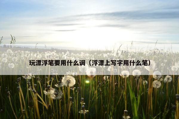 玩漂浮笔要用什么调（浮漂上写字用什么笔）