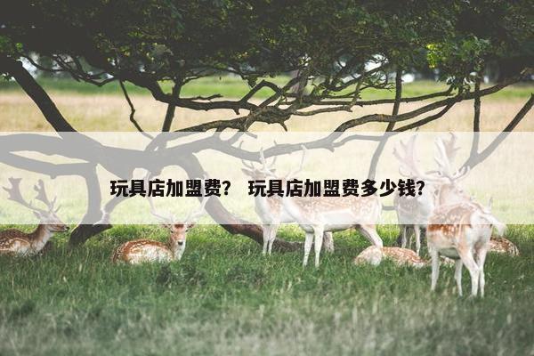 玩具店加盟费？ 玩具店加盟费多少钱？