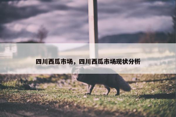 四川西瓜市场，四川西瓜市场现状分析