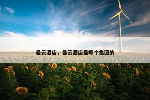 曼云酒店，曼云酒店是哪个集团的
