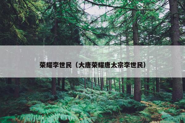 荣耀李世民（大唐荣耀唐太宗李世民）