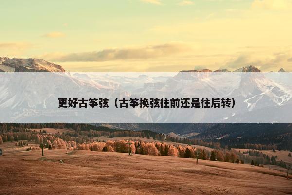 更好古筝弦（古筝换弦往前还是往后转）