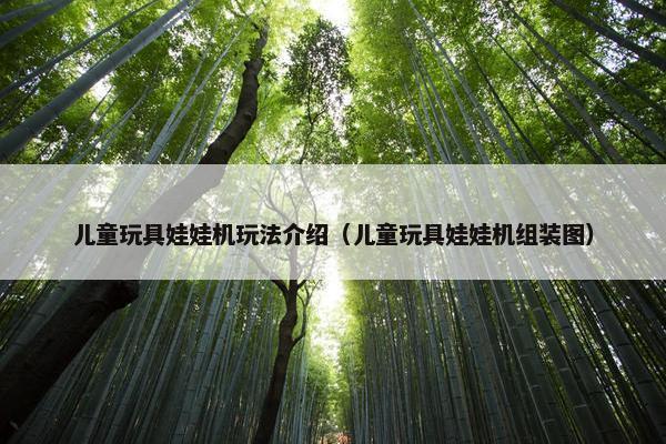儿童玩具娃娃机玩法介绍（儿童玩具娃娃机组装图）