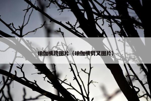 瑜伽横跨图片（瑜伽横劈叉图片）