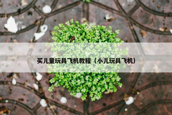 买儿童玩具飞机教程（小儿玩具飞机）