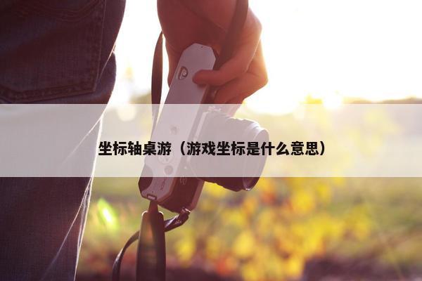 坐标轴桌游（游戏坐标是什么意思）