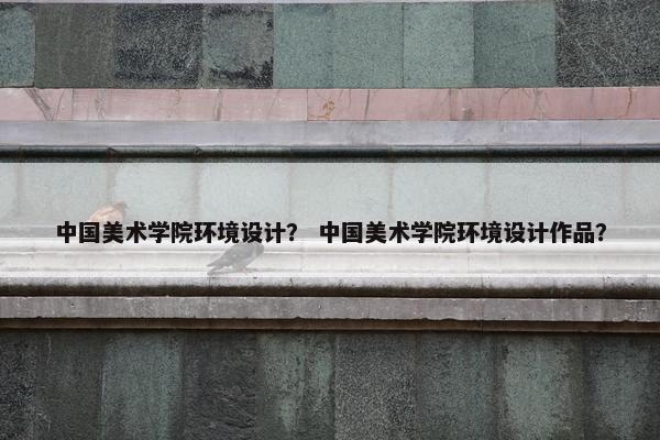 中国美术学院环境设计？ 中国美术学院环境设计作品？