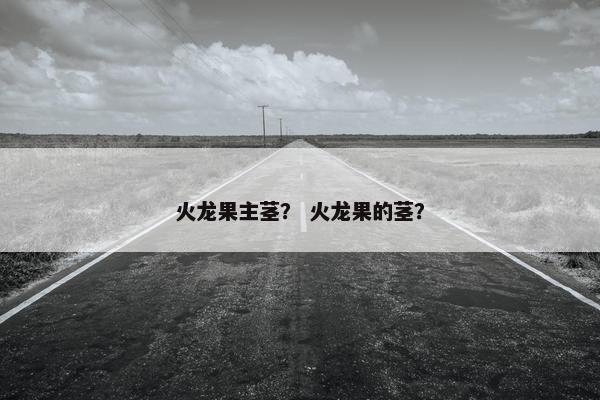 火龙果主茎？ 火龙果的茎？