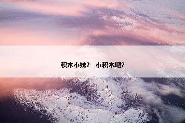 积木小妹？ 小积木吧？