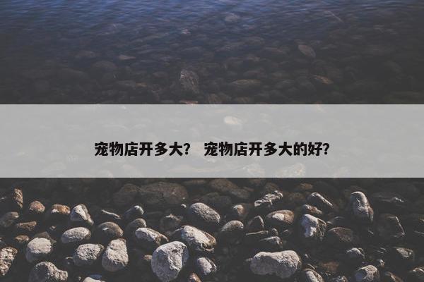 宠物店开多大？ 宠物店开多大的好？