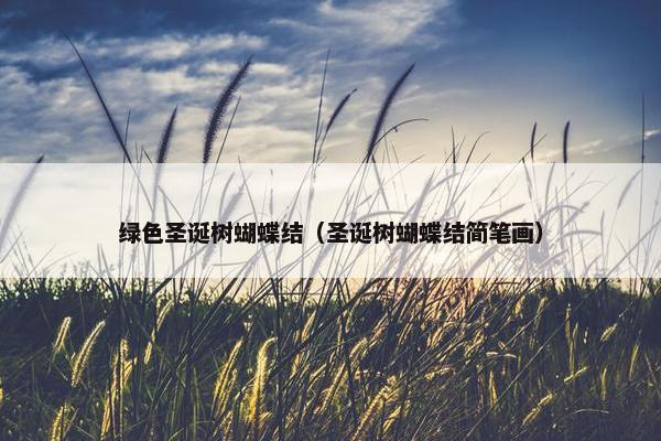 绿色圣诞树蝴蝶结（圣诞树蝴蝶结简笔画）