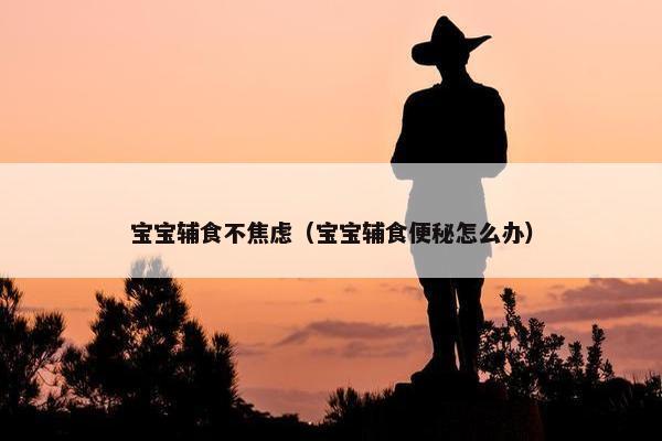 宝宝辅食不焦虑（宝宝辅食便秘怎么办）