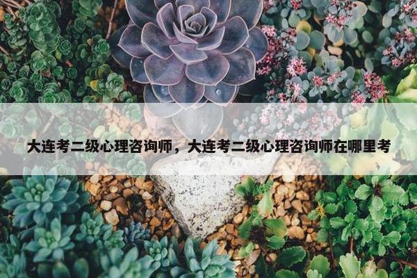 大连考二级心理咨询师，大连考二级心理咨询师在哪里考