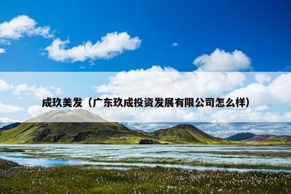成玖美发（广东玖成投资发展有限公司怎么样）