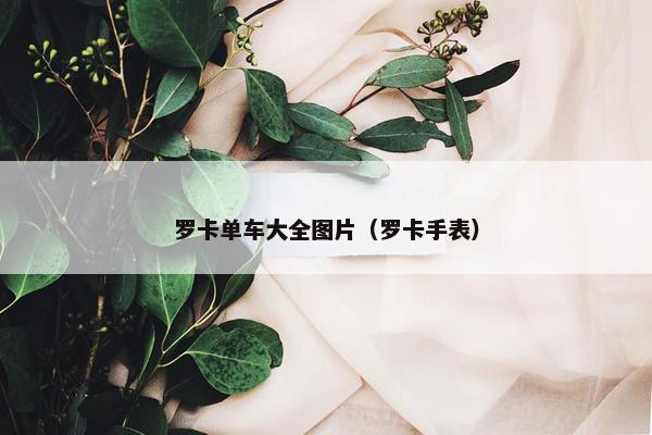 罗卡单车大全图片（罗卡手表）