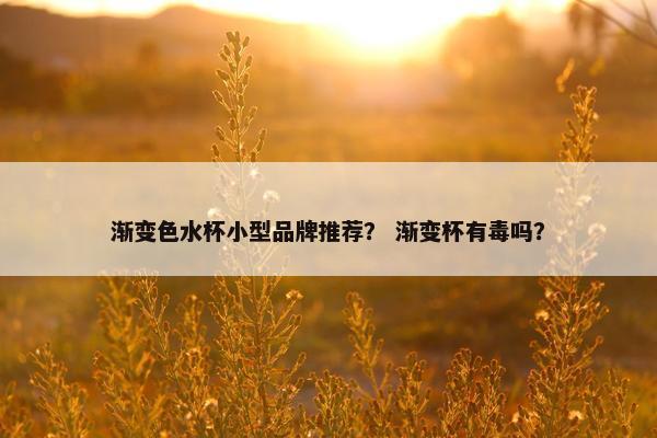 渐变色水杯小型品牌推荐？ 渐变杯有毒吗？