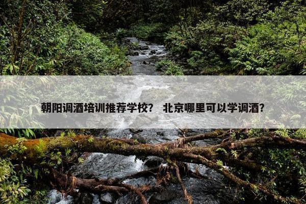 朝阳调酒培训推荐学校？ 北京哪里可以学调酒？