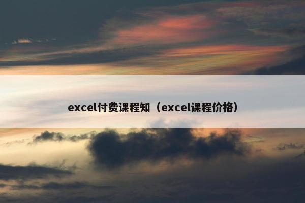 excel付费课程知（excel课程价格）