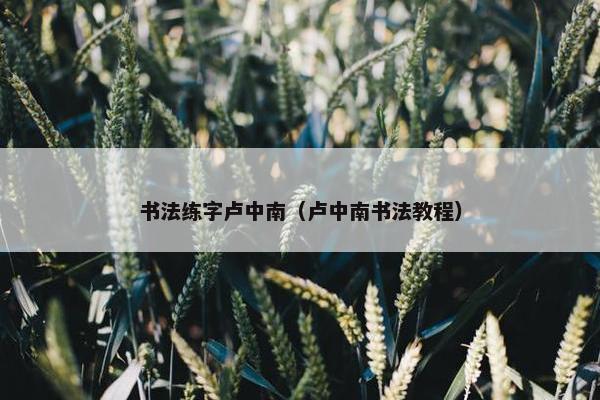 书法练字卢中南（卢中南书法教程）