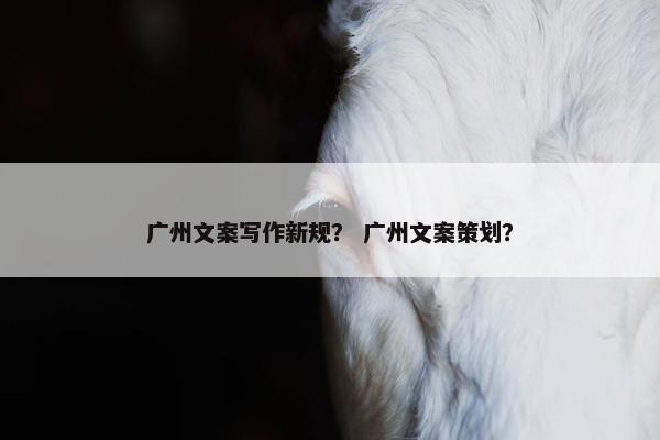 广州文案写作新规？ 广州文案策划？