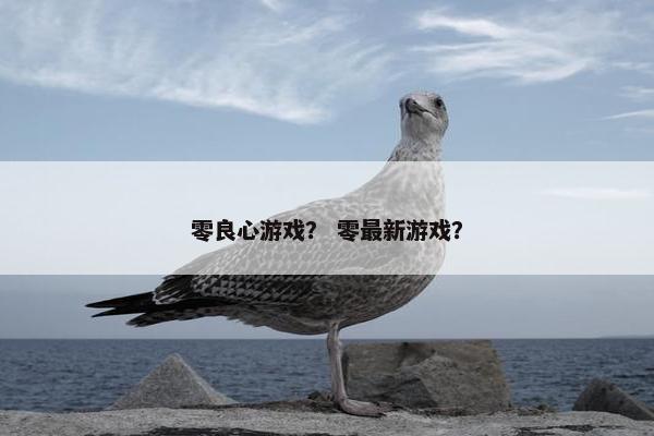 零良心游戏？ 零最新游戏？