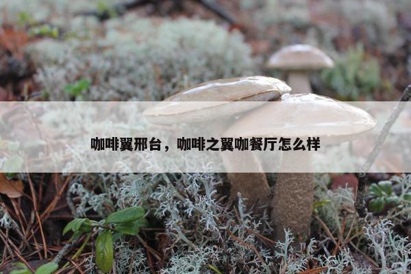咖啡翼邢台，咖啡之翼咖餐厅怎么样