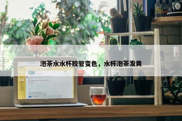 泡茶水水杯胶管变色，水杯泡茶发黄