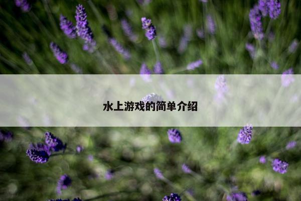 水上游戏的简单介绍
