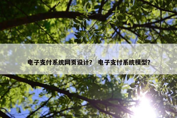 电子支付系统网页设计？ 电子支付系统模型？